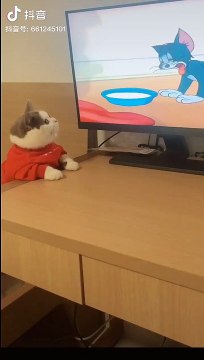 Funny Video | comedy video | short video | new funny status video | whatsapp status video | latest video | funny scene | comedy scene | full funny | full comedy | lol video | enjoy video #funny #comedy | viral video | trending video