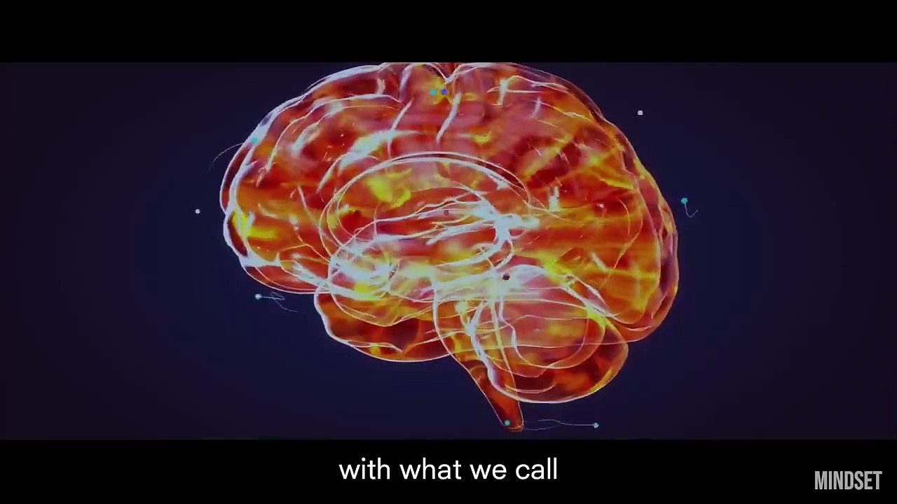 Andrew Huberman The Billion Dollar Routine You Can Copy - Stanford Neuroscientist