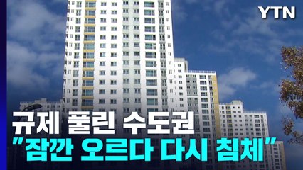 규제지역 해제된 수도권 분위기는?..."잠깐 가격 오르다 다시 침체" / YTN