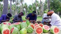 WATERMELON JUICE _ Farm Fresh Fruit Juice Making _ Watermelon Craft _ Watermelon Experiment