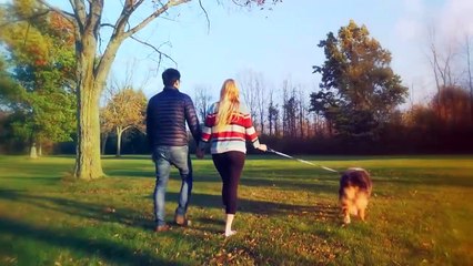 These Are 10 Best Dogs for Hikers