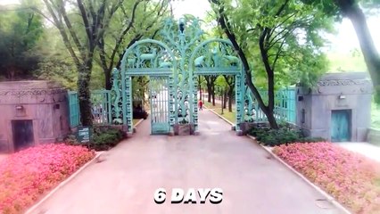 These Are 10 Wildest Zoo Animal Escapes