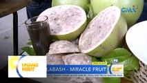 This Is Eat– Calabash ‘the miracle fruit’ with Chef JR Royol | Unang Hirit