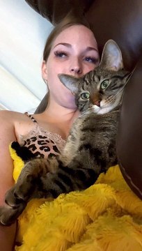 Cuddling Cat Puts Its Paws Up