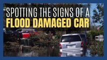 Buying a used car? Know the telltale signs of a flood-damaged car