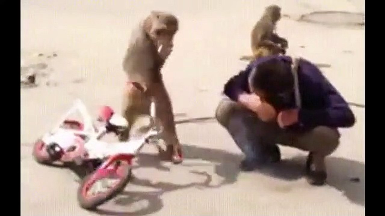 Funny video