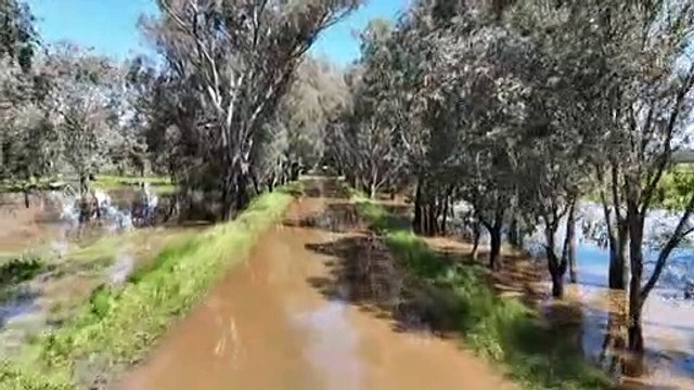 Residents in the Central West of New South Wales have had to readjust to cope with this week's flooding