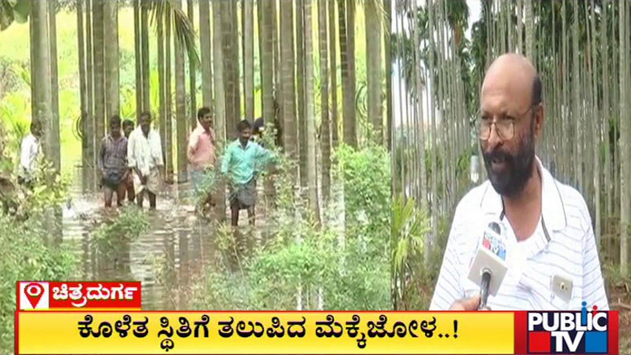 Lake Water Inundates Crops Grown In Hundreds Of Acres | Chitradurga | Public TV