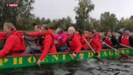 Octobre rose : des femmes victimes de cancer du sein rament en dragon boat