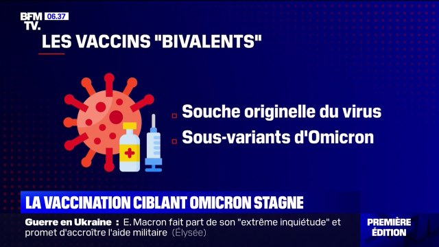 Covid-19: 8 millions de doses du vaccin bivalent disponibles d'ici la fin octobre
