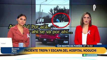 Paciente trepa poste y escapa de hospital de Salud Mental Honorio Delgado