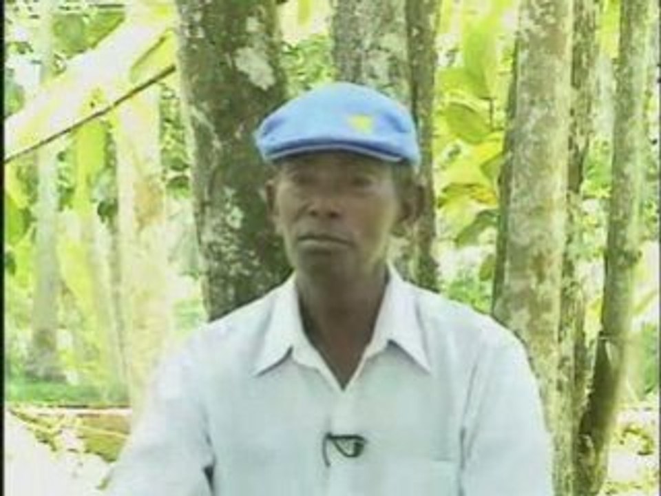O Senhor da Floresta