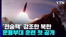 '전술핵' 강조한 北...핵실험 목표도 전술핵 맞춤형? / YTN