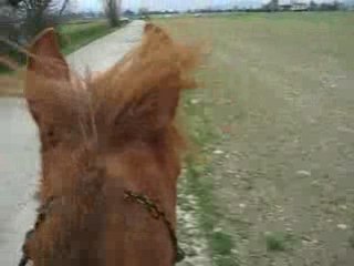 Kahlia endu 15/O3/O8 départ