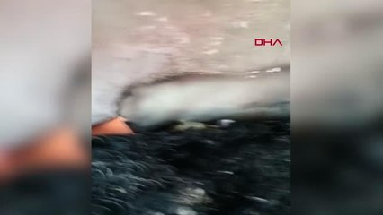 BÜŞRA'YI İŞKENCE EDEREK ÖLDÜRMÜŞ