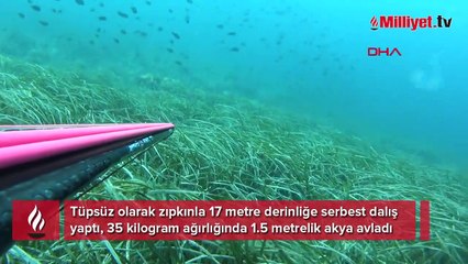 Zıpkınla 35 kiloluk akya balığı avladı