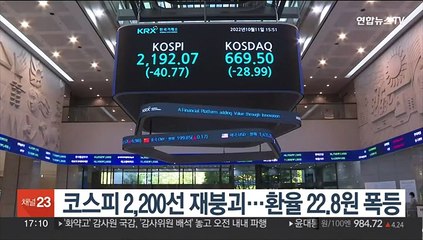 코스피 2,200선 재붕괴…환율 22.8원 폭등