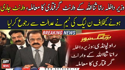 Team from PMLN goes court against arrest warrant of Rana Sanaullah