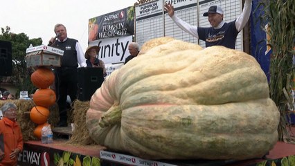 미국에서 1.1톤 넘는 초대형 호박 수확...미국 신기록 수립 / YTN