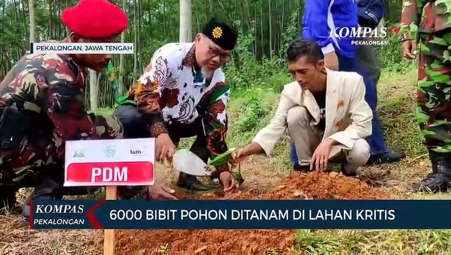 6000 Bibit Pohon Ditanam di Lahan Kritis