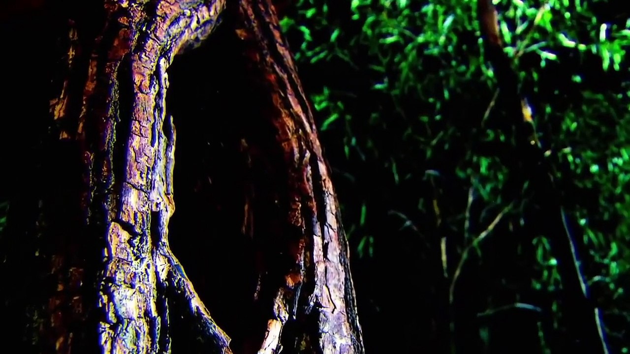 Little Giants (2019) - Se1 - Ep02 - Adorable Assassin HD Watch HD Deutsch