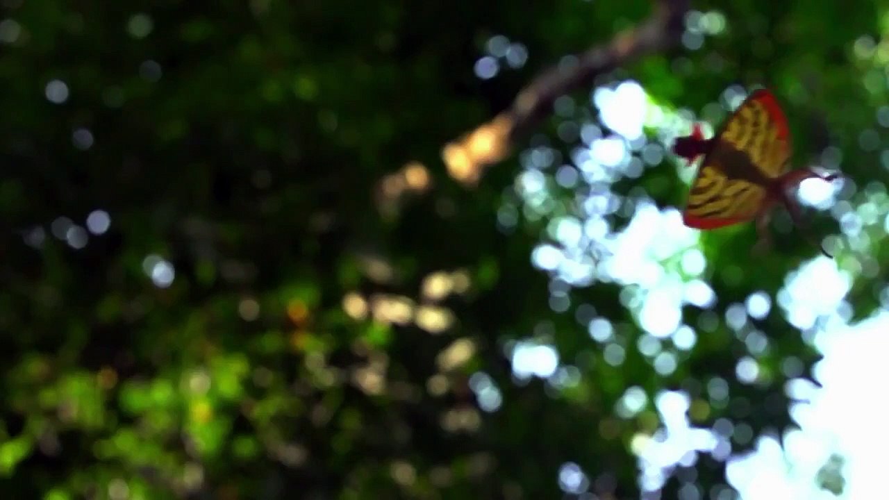 Little Giants (2019) - Se1 - Ep01 - Microzilla HD Watch HD Deutsch