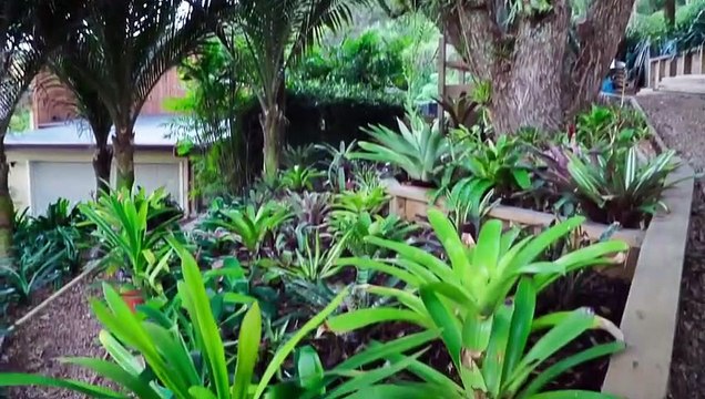 Off The Grid On The Beach - Se1 - Ep10 - Busy Life To Pacific Paradise HD Watch HD Deutsch