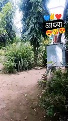 5 years viral girl dashing entry