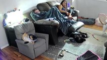 Cat tries to spoil hoomans' movie night by pulling a silly stunt