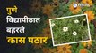Savitribai Phule Pune University | सावित्रीबाई फुले पुणे विद्यापीठ विविध फुलांनी बहरलं | Maharashtra | Sakal