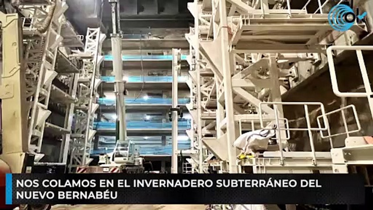 Nos colamos en el invernadero subterráneo del Nuevo Bernabéu