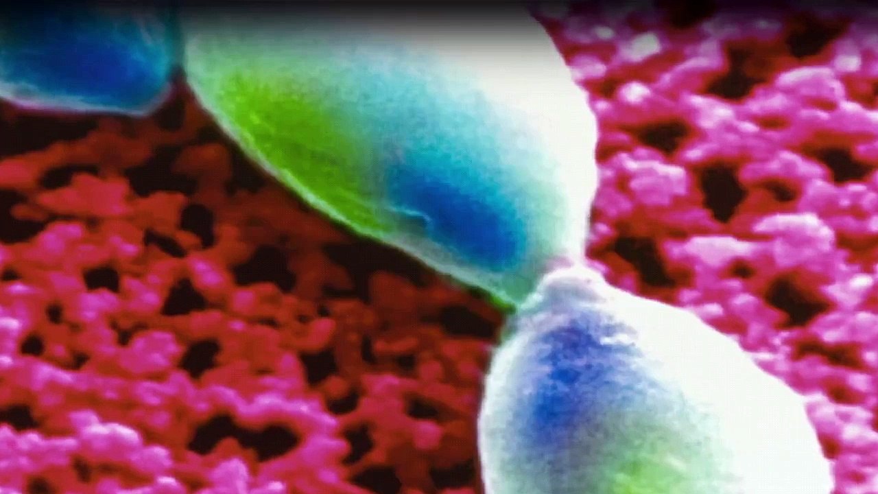 Strange Evidence Staffel 3 Folge 5 HD Deutsch