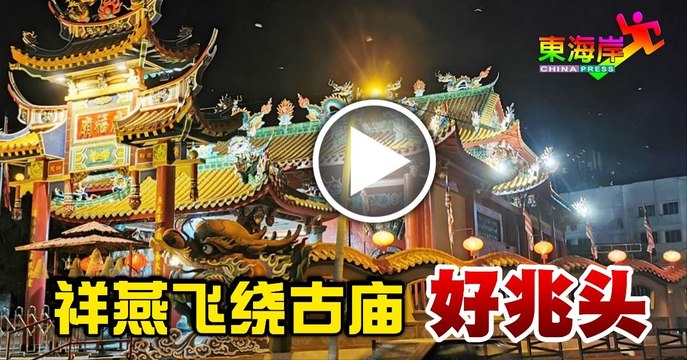 祥燕飞绕古庙 好兆头