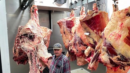 Gerringong’s Happiest Cows | 11 October 2022 | Illawarra Mercury