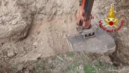 Vigili del Fuoco salvano una pecora finita in una tubazione in calcestruzzo