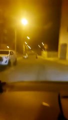 Un oso campa por el centro de Ponferrada