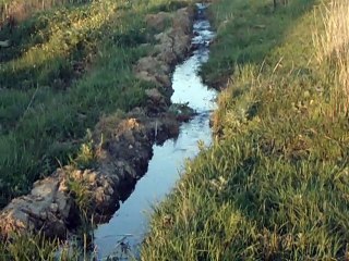 جدول مائي . ساقية