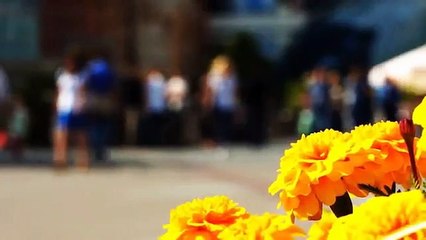 A louer - Appartement - SAINT MAUR DES FOSSES (94100) - 1 pièce - 26m²