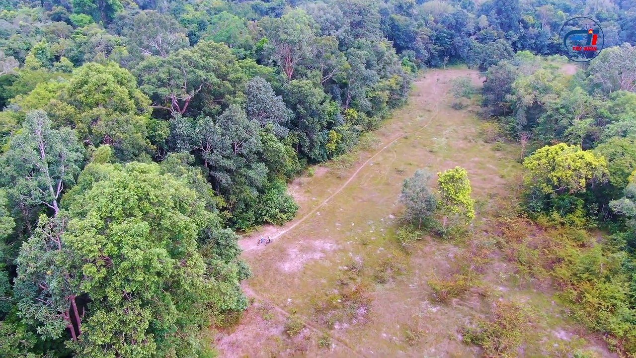 Du ngoạn xuyên rừng Lò Gò - Xa Mát-Phần 2