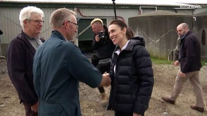 شاهد: نيوزيلندا تسعى إلى فرض ضرائب على إطلاق ريح الماشية