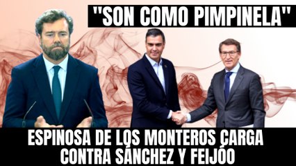 Espinosa de los Monteros (VOX) carga contra Sánchez y Feijóo: “Son como Pimpinela, hacen un paripé”