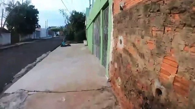 PC cumpre mandados contra suspeitos de tráfico de drogas no Paraná