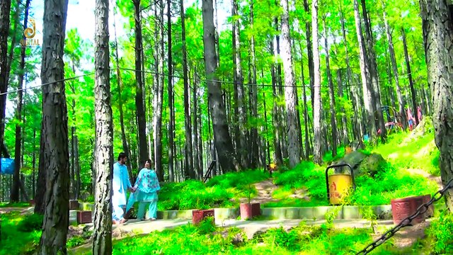 Rekhtya Ba Rata Waye | Musarat Momand | Kiran Naz | Pashto Hit Song