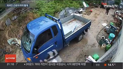 농촌까지 얼룩…마약 유통 외국인 근로자 무더기 검거