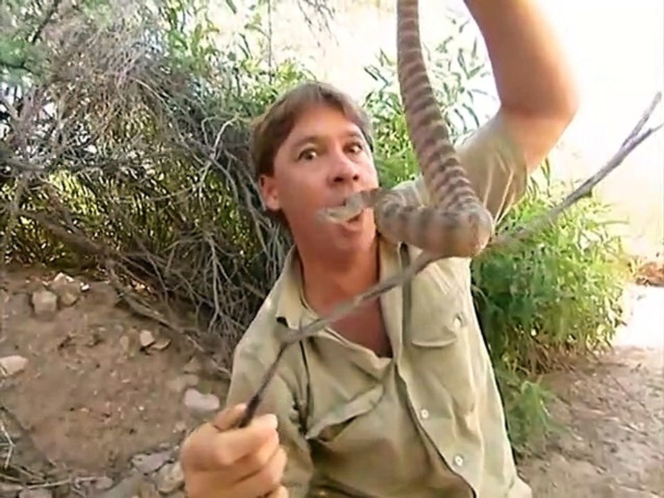 Crocodile Hunter - Ep09 HD Watch HD Deutsch