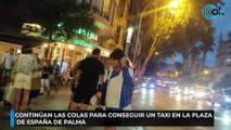 Continúan las colas para conseguir un taxi en la Plaza de España de Palma