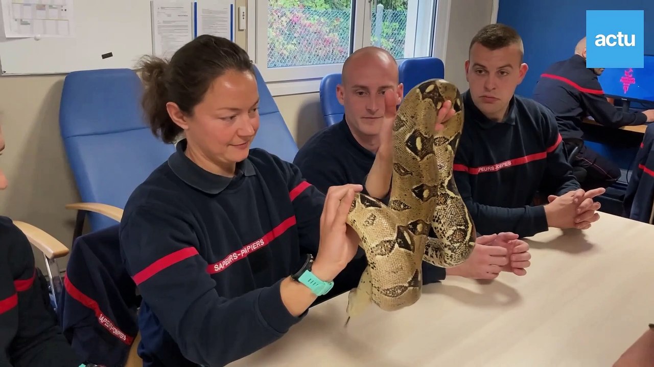 Les sapeurs-pompiers professionnels de l'Eure sensibilisés au bien-être animal
