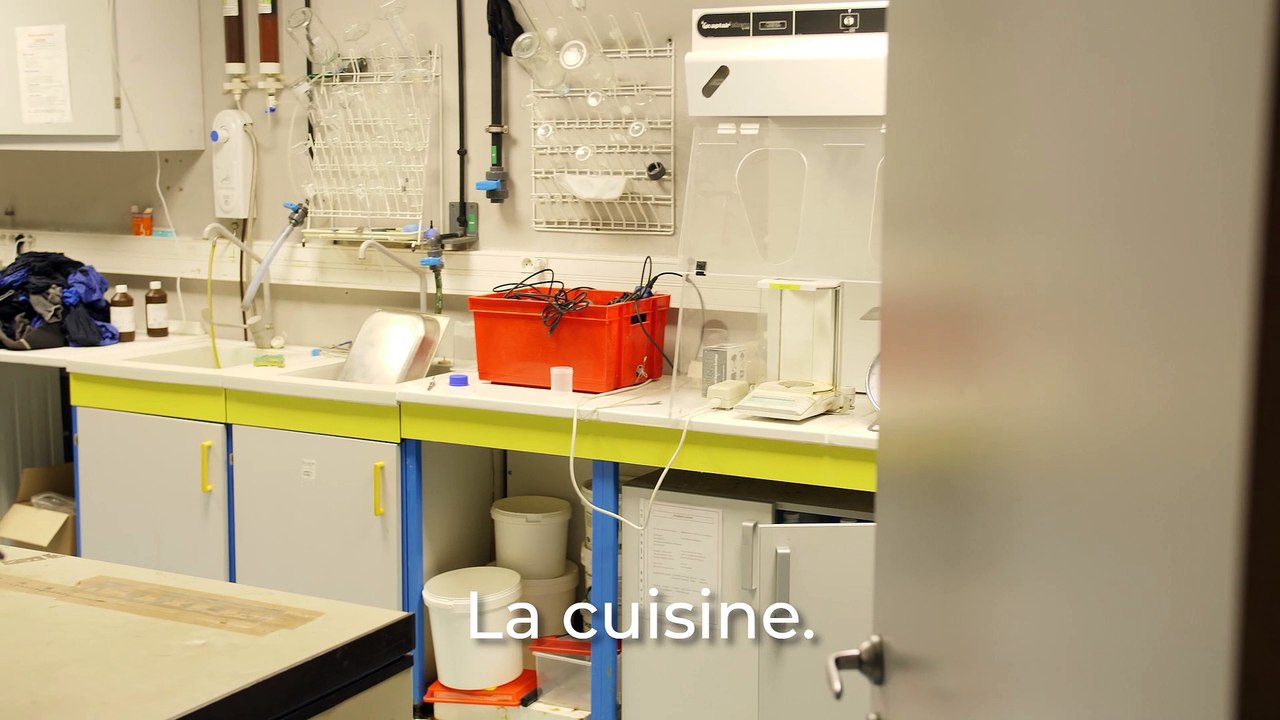 Planet Ocean : Dans les coulisses