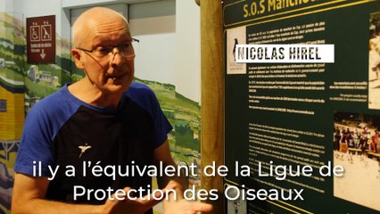 Planet Ocean : Comment apporter sa contribution à la préservation des manchots ?