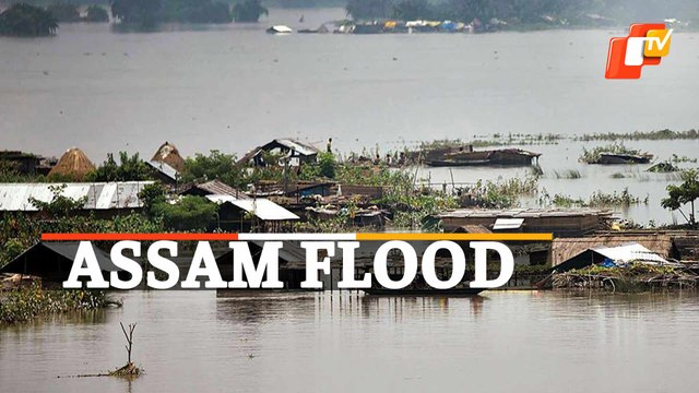 Assam Flood - Watch Plight Of Hundreds Of Families Of Dhemaji District